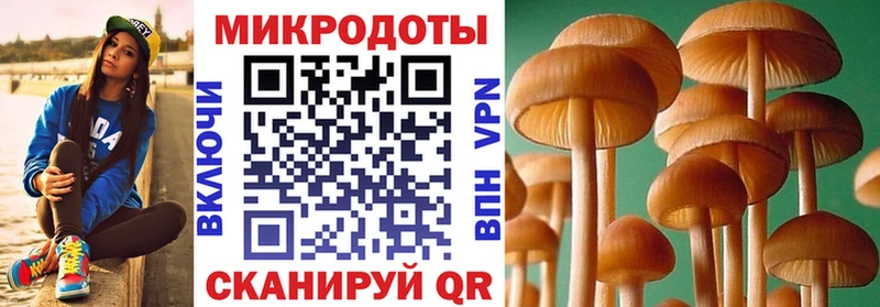 закладки  Крым  Галлюциногенные грибы Magic Shrooms 